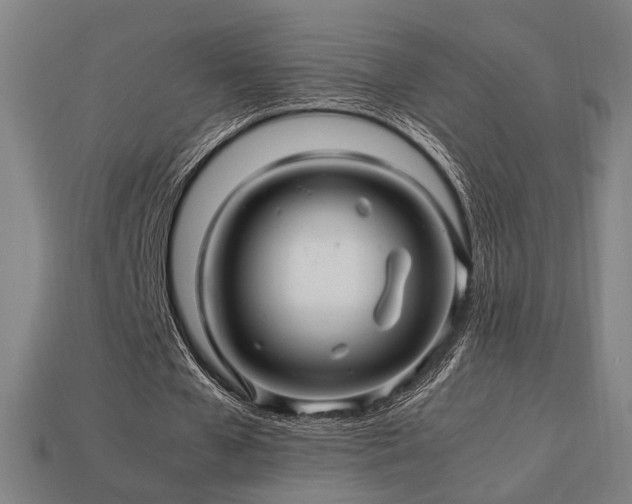 X0000113760577200909231207