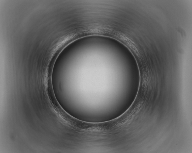 X0000113760578200909231207