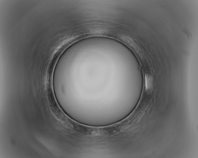 X0000113760579200909231207