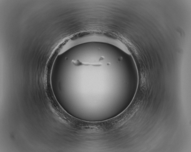 X0000113760580200909231207
