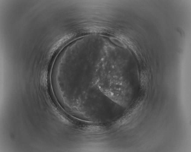 X0000113760581200909231207