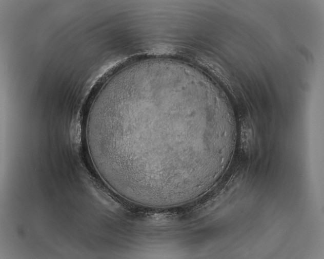 X0000113760584200909231207