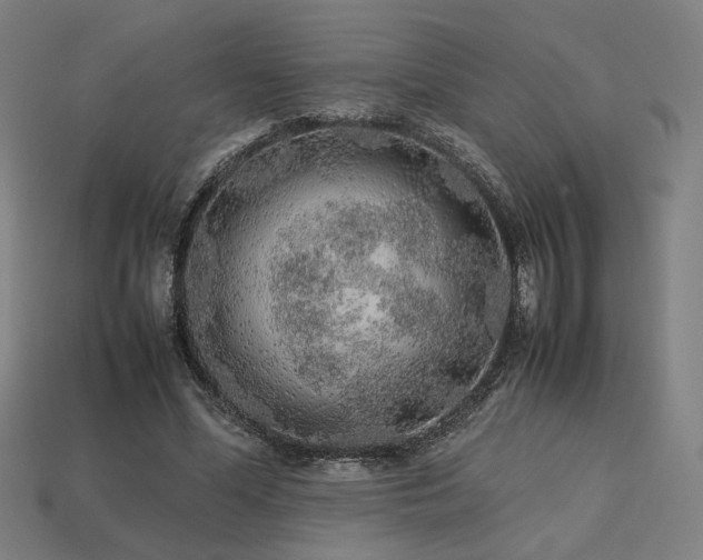 X0000113760588200909231207