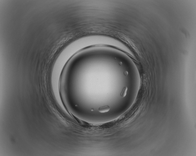 X0000113760589200909231207