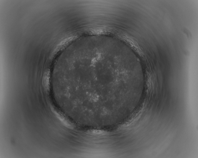 X0000113760590200909231207