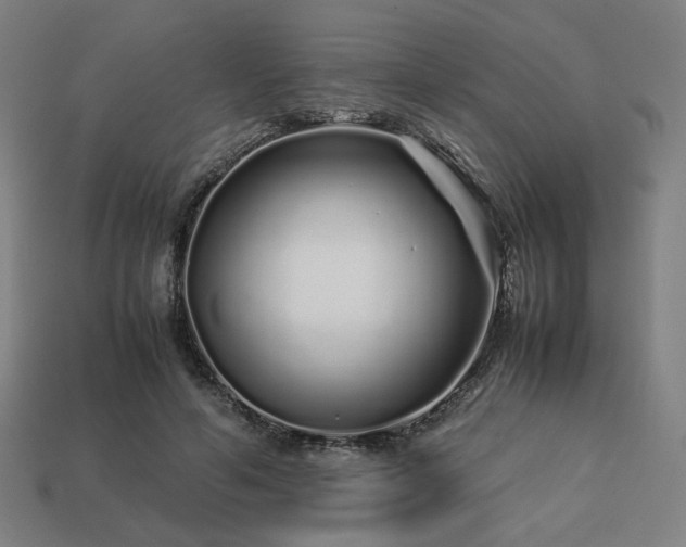 X0000113760594200909231207