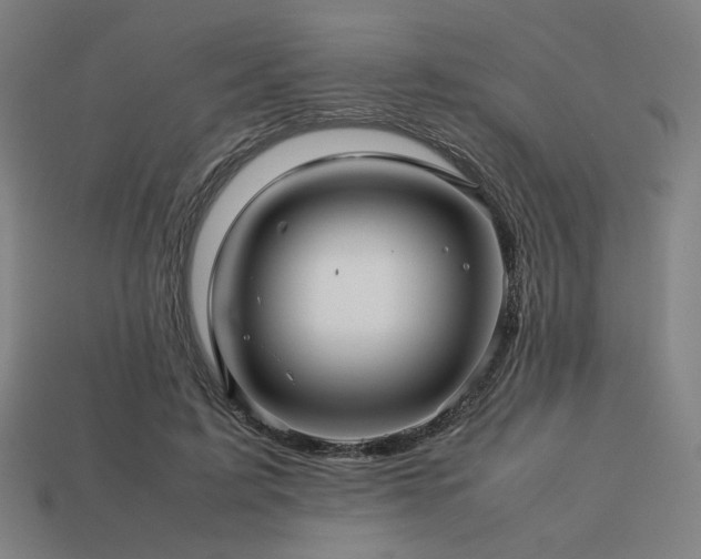X0000113760595200909231207