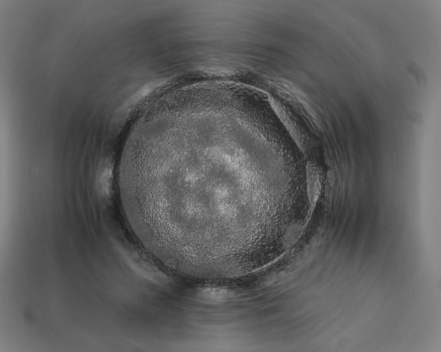 X0000113760596200909231207