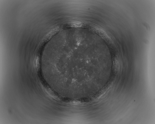 X0000113760598200909231207