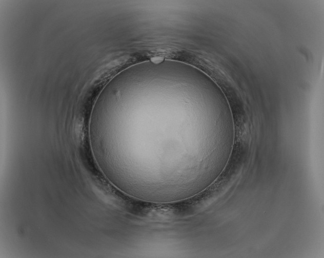 X0000113760599200909231207