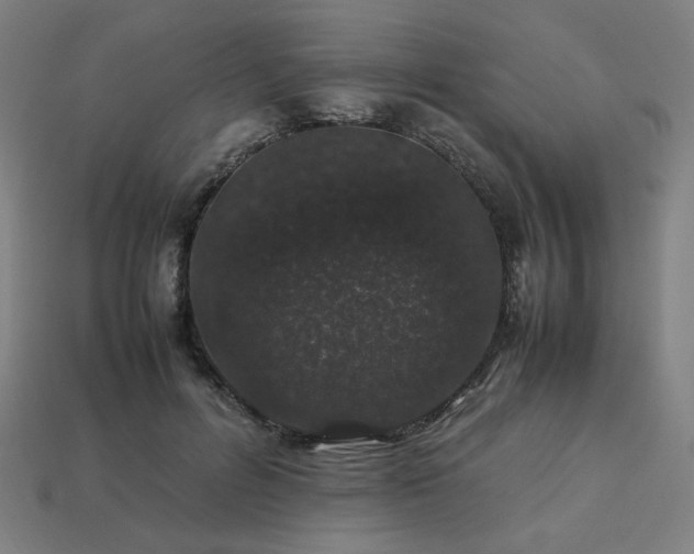 X0000113760600200909231207