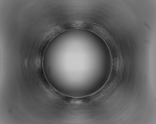 X0000113760602200909231207