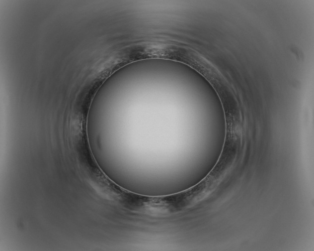 X0000113760603200909231207