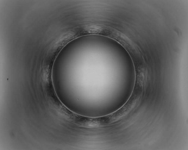 X0000113760604200909231207