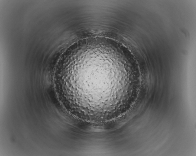 X0000113760606200909231207