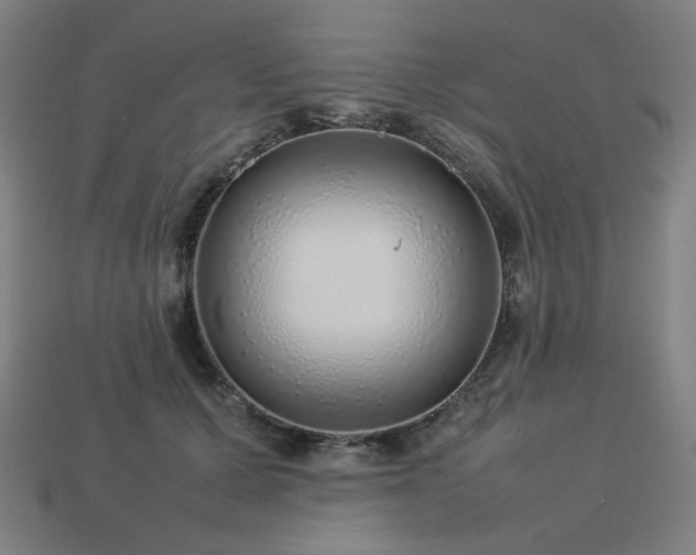 X0000113760607200909231207