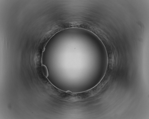 X0000113760608200909231207