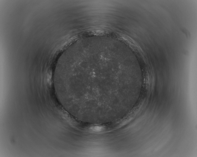 X0000113760610200909231207