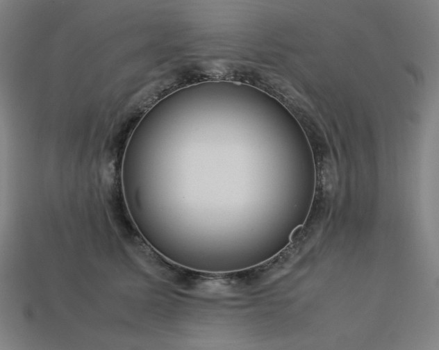X0000113760611200909231207