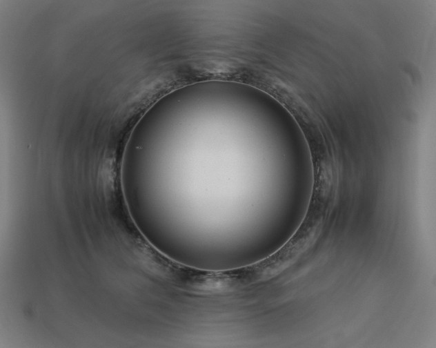 X0000113760612200909231206