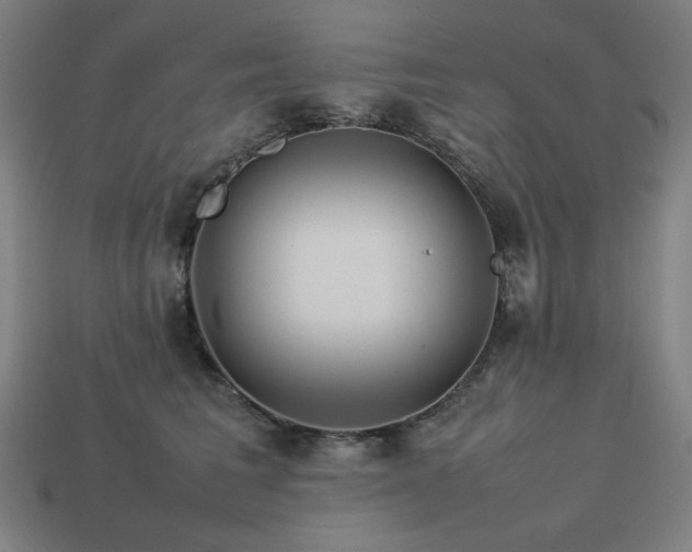 X0000113760613200909231206