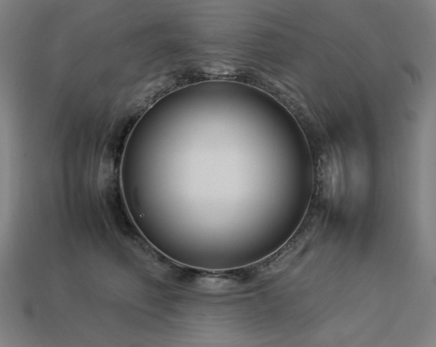 X0000113760614200909231206