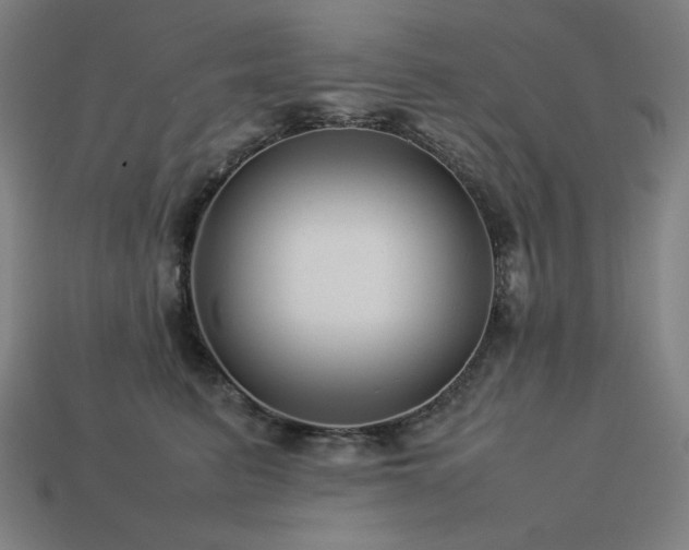 X0000113760615200909231206