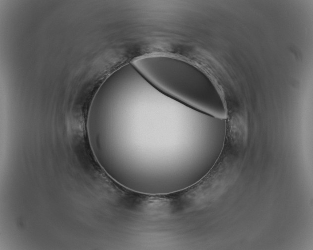 X0000113760617200909231206