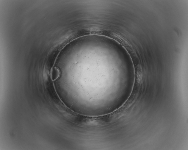 X0000113760618200909231206