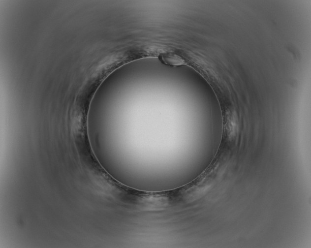 X0000113760619200909231206