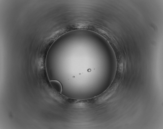 X0000113760620200909231206