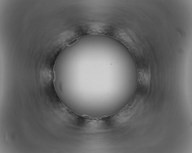 X0000113760621200909231206