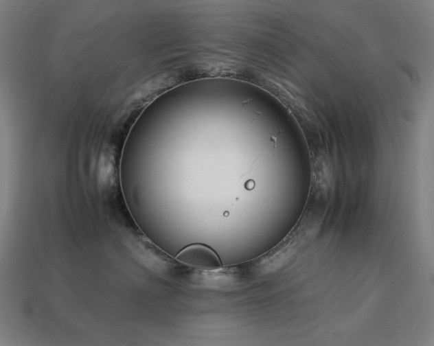 X0000113760622200909231206