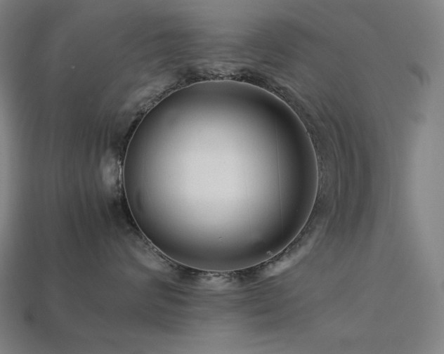 X0000113760624200909231206