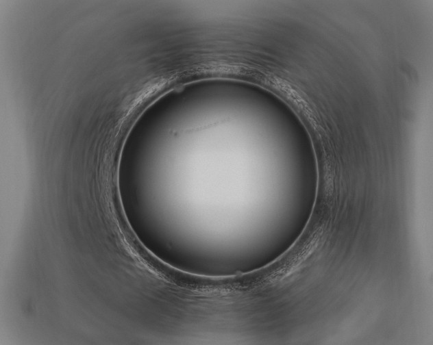 X0000113760625200909231206