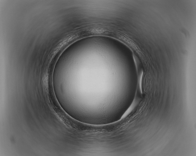 X0000113760626200909231206