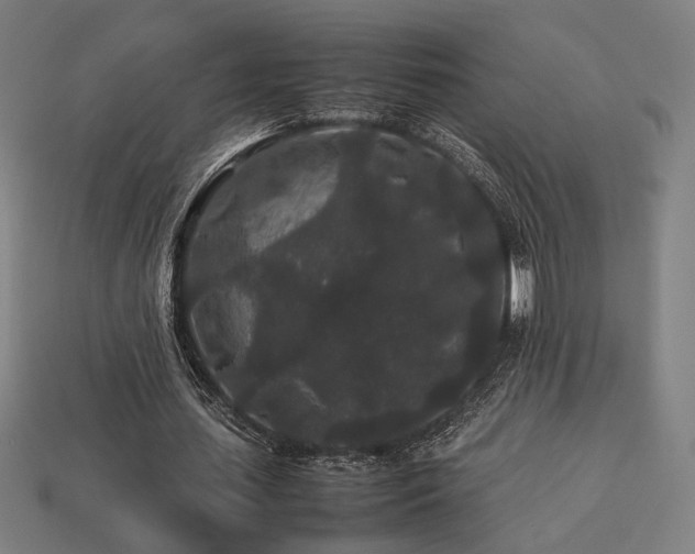 X0000113760627200909231206