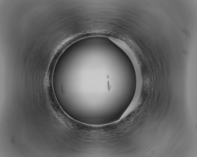 X0000113760628200909231206