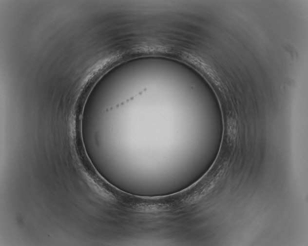 X0000113760629200909231206