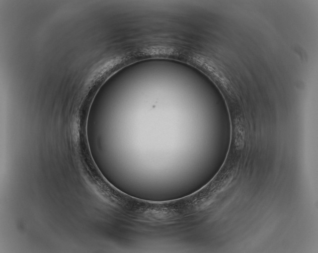 X0000113760631200909231206