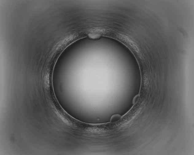 X0000113760633200909231206