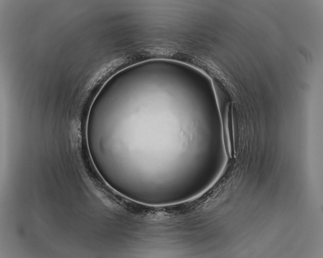X0000113760634200909231206