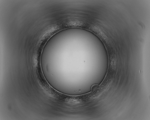 X0000113760635200909231206