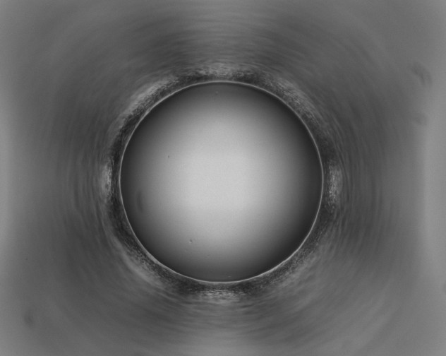 X0000113760636200909231206