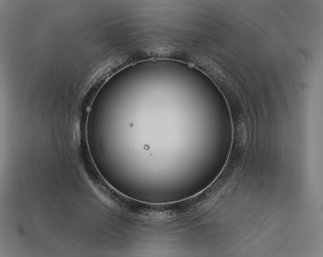 X0000113760638200909231206