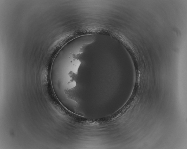 X0000113760640200909231206