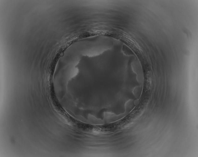 X0000113760641200909231206