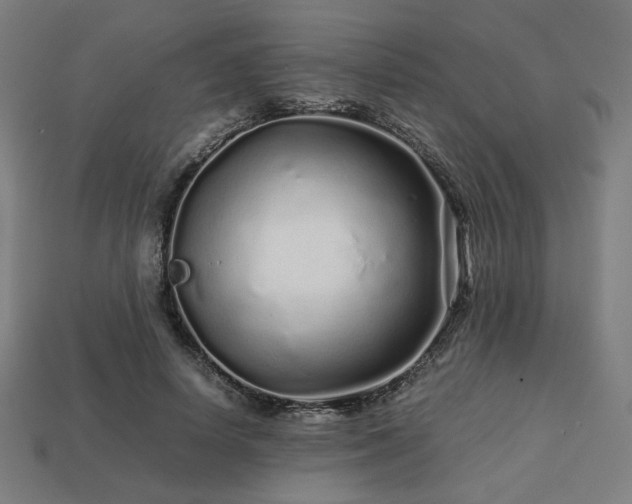 X0000113760642200909231206