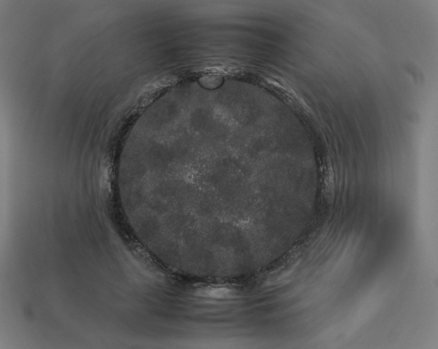 X0000113760643200909231206