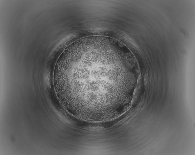 X0000113760644200909231206